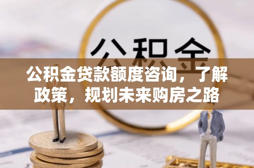 二林公积金贷款额度咨询，了解政策，规划未来购房之路
