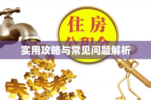 二林实用攻略与常见问题解析