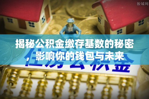 二林揭秘公积金缴存基数的秘密，影响你的钱包与未来