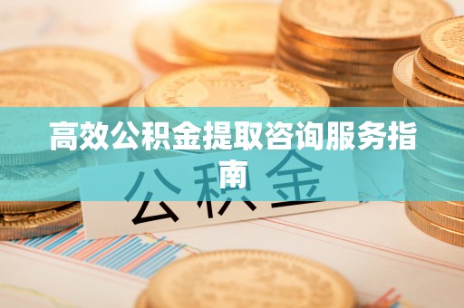 二林高效公积金提取咨询服务指南