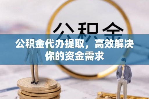 二林公积金代办提取，高效解决你的资金需求