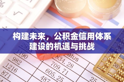 二林构建未来，公积金信用体系建设的机遇与挑战