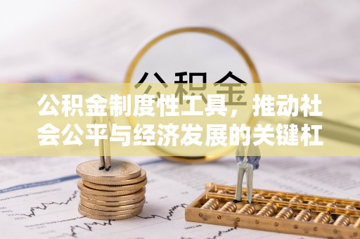 二林公积金制度性工具，推动社会公平与经济发展的关键杠杆