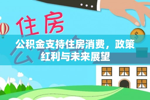 二林公积金支持住房消费，政策红利与未来展望