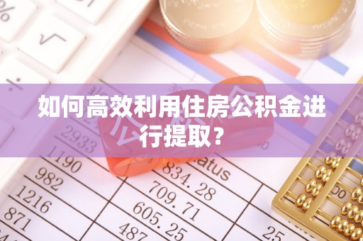二林如何高效利用住房公积金进行提取？