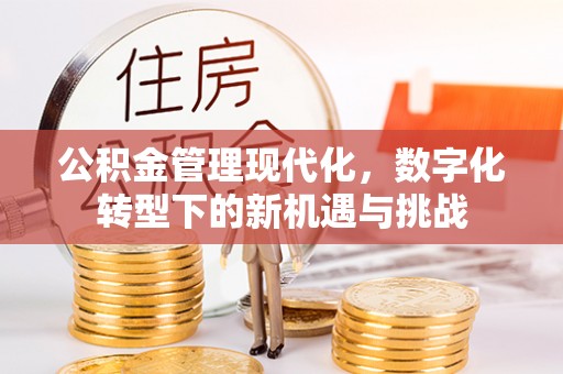 二林公积金管理现代化，数字化转型下的新机遇与挑战