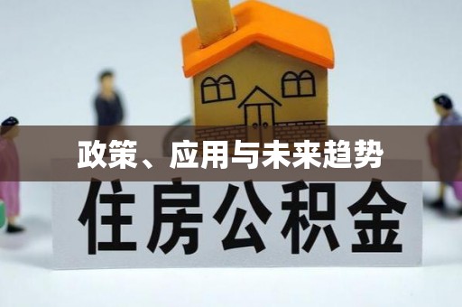 二林政策、应用与未来趋势