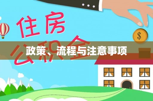 二林政策、流程与注意事项