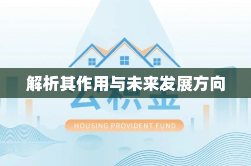 二林解析其作用与未来发展方向