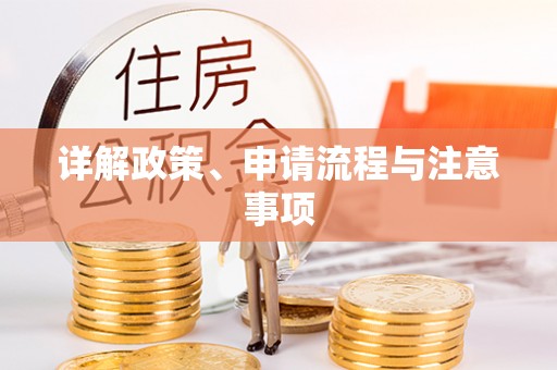 二林详解政策、申请流程与注意事项