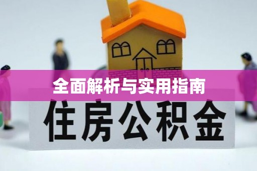 二林全面解析与实用指南