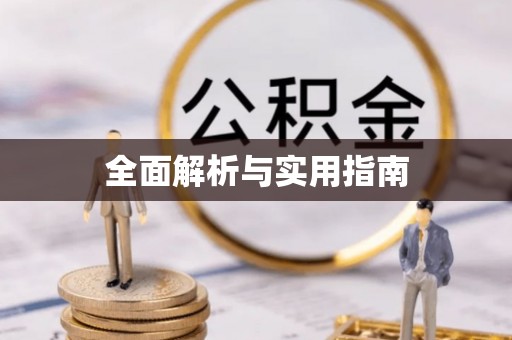 二林全面解析与实用指南